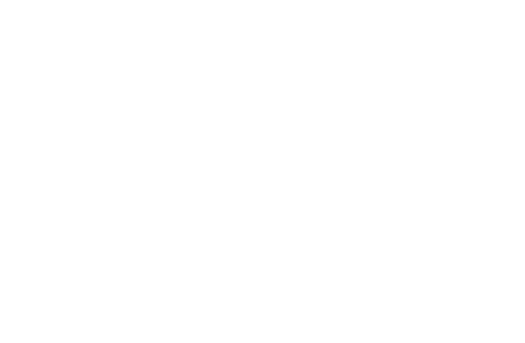 ALEI International