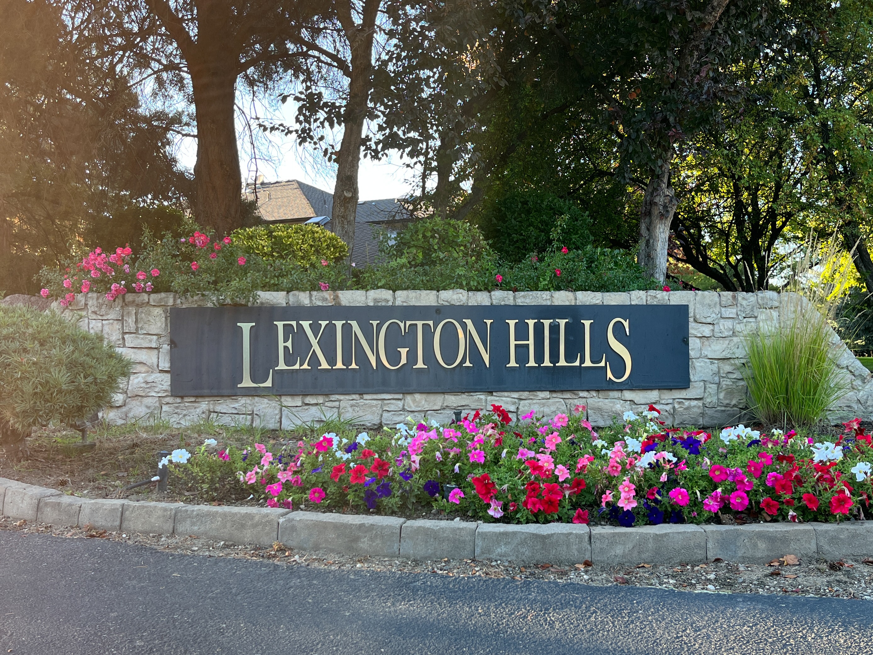 Image of the Lexington Hills Neighborhood in Idaho