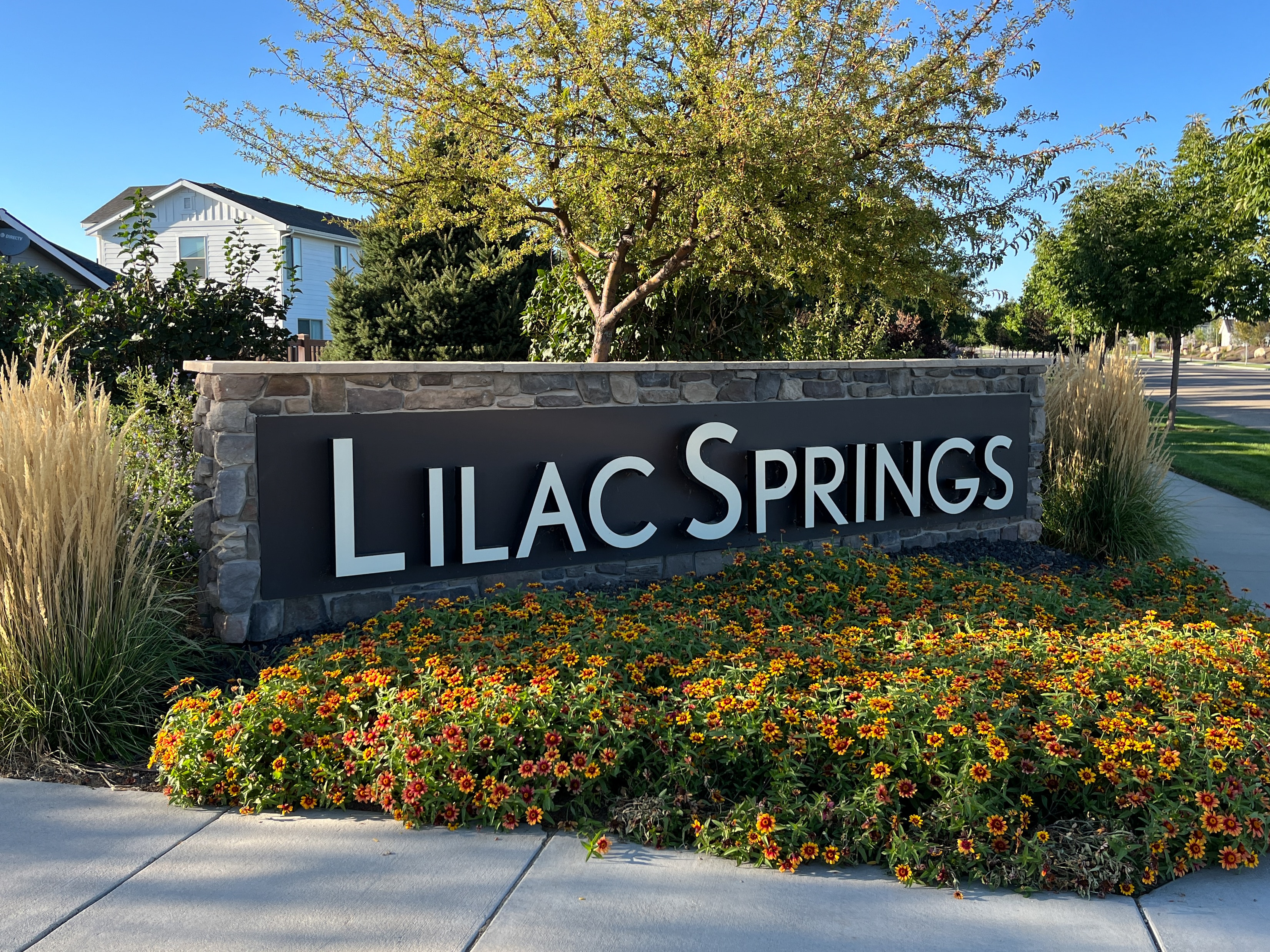 Image of the Lilac Springs Neighborhood in Idaho
