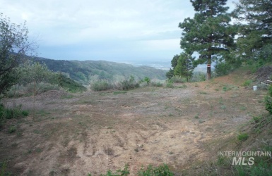 Lot 1 Crazy Woman Sub, Boise, Idaho 83716, ,Land,For Sale,Lot 1 Crazy Woman Sub,98878792