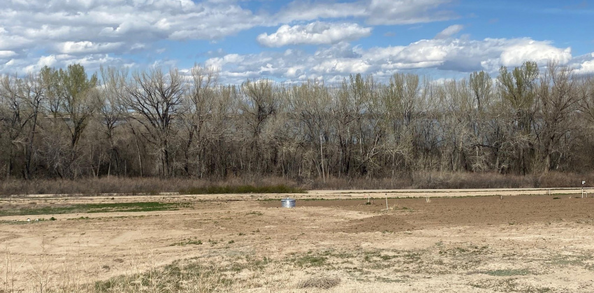 TBD Manzanita Ln. - Parcel 3, Caldwell, Idaho 83607, ,Land,For Sale,TBD Manzanita Ln. - Parcel 3,98899677