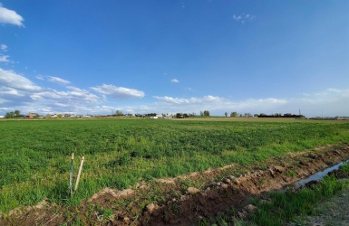 TBD Track Road, Melba, Idaho 83641, ,Land,For Sale,TBD Track Road,98842141