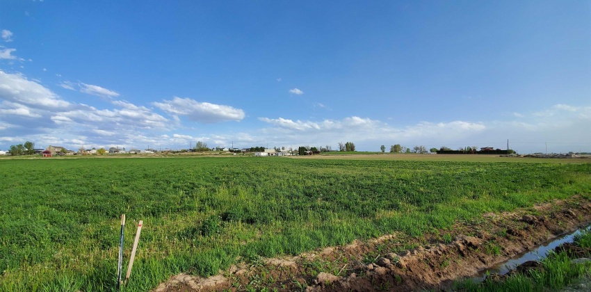 TBD Track Road, Melba, Idaho 83641, ,Land,For Sale,TBD Track Road,98842141